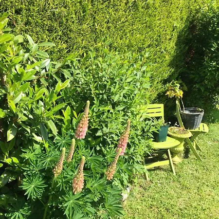 Au Calme A 에트르타