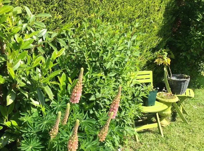 Au Calme A 埃特勒塔